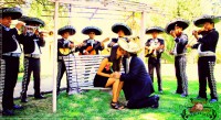 /album/mariachi-tierra-nueva/amor-jpg1/