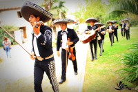 /album/mariachi-tierra-nueva/img-5880-jpg/