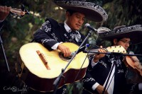 /album/mariachi-tierra-nueva/img-5919-jpg/