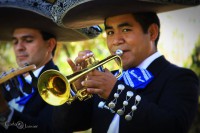 /album/mariachi-tierra-nueva/img-6040-jpg/