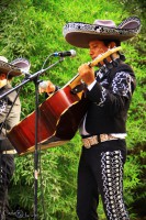 /album/mariachi-tierra-nueva/img-5905-jpg/